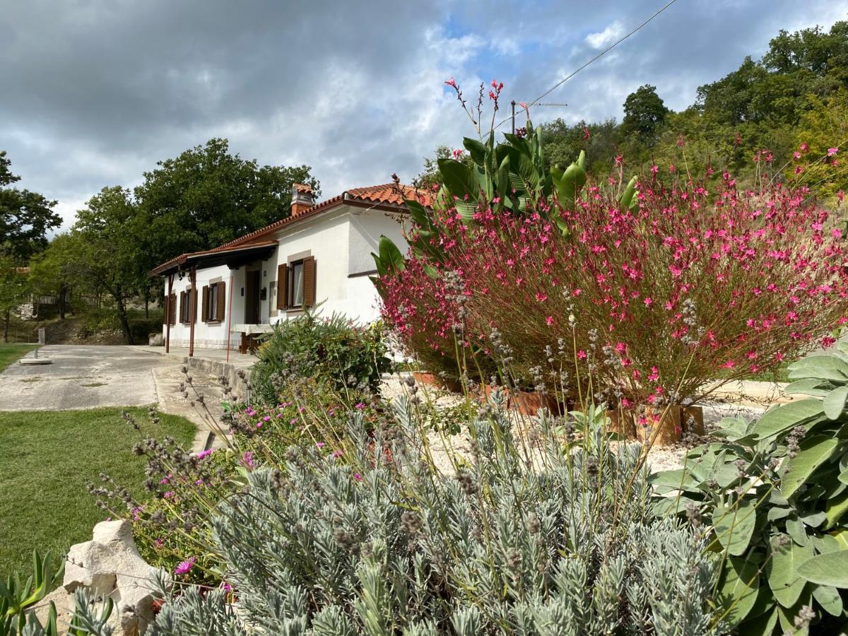 Istrian House In The Heart Of Tupljak - Smilovic Potpićan Esterno foto